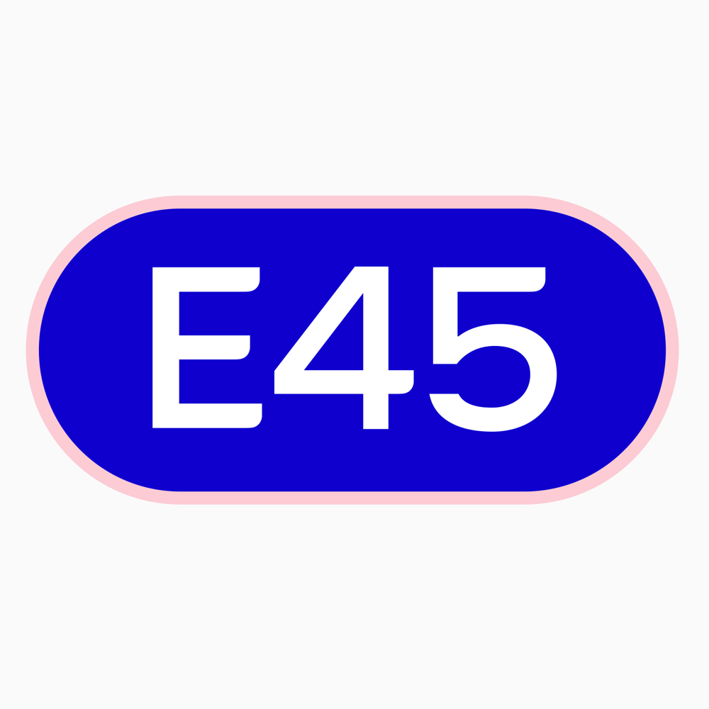 E45