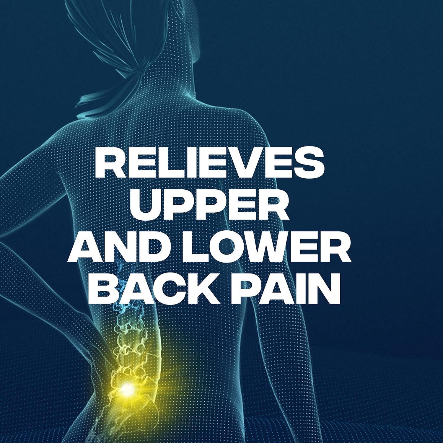 Advil Dual Action Back Pain Reliever Tablets