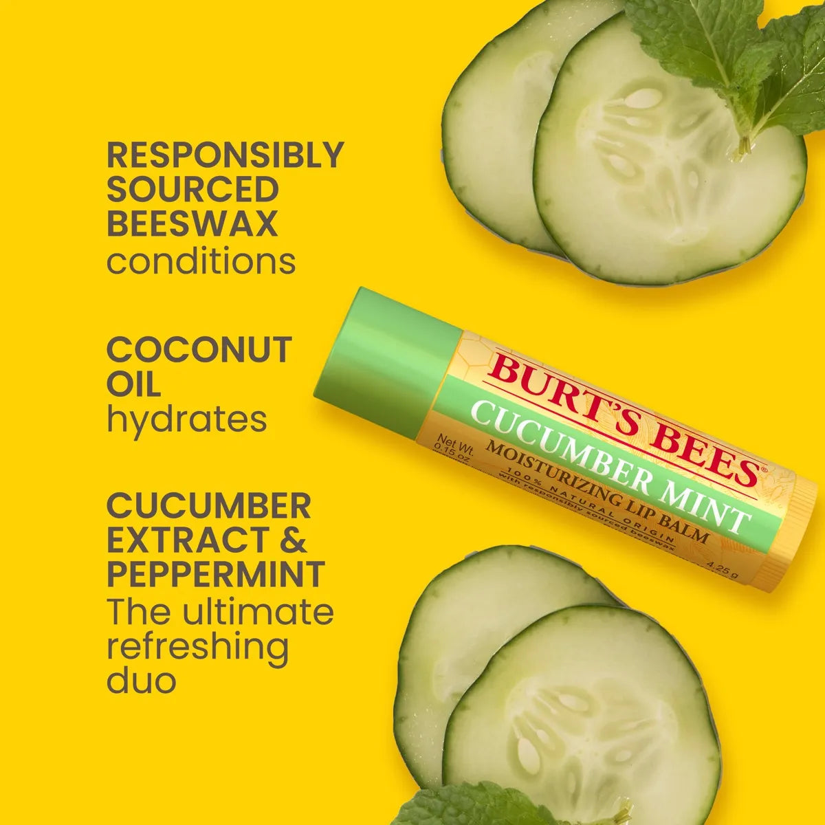 Burt’s Bees Freshly Picked Lip Balm Set