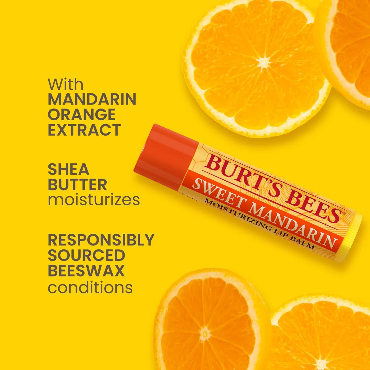 Burt’s Bees Freshly Picked Lip Balm Set