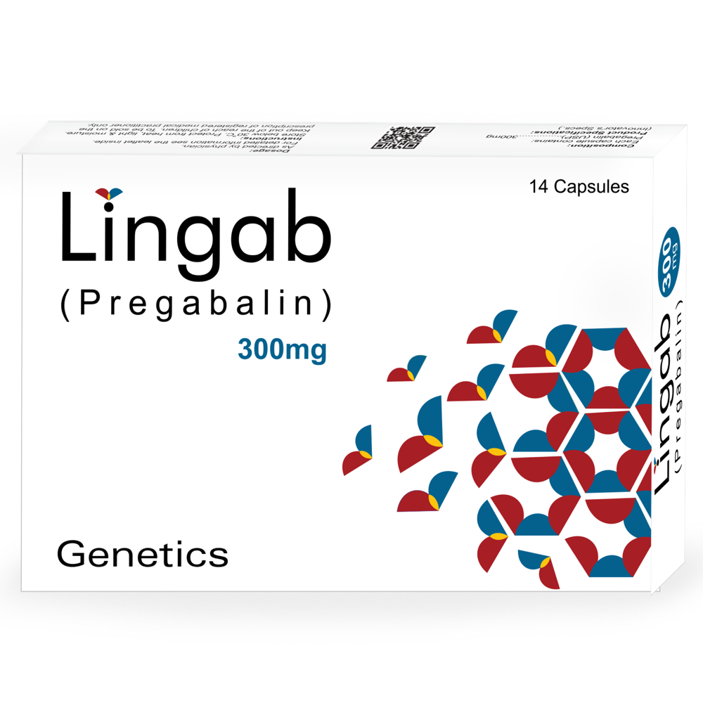 Lingab