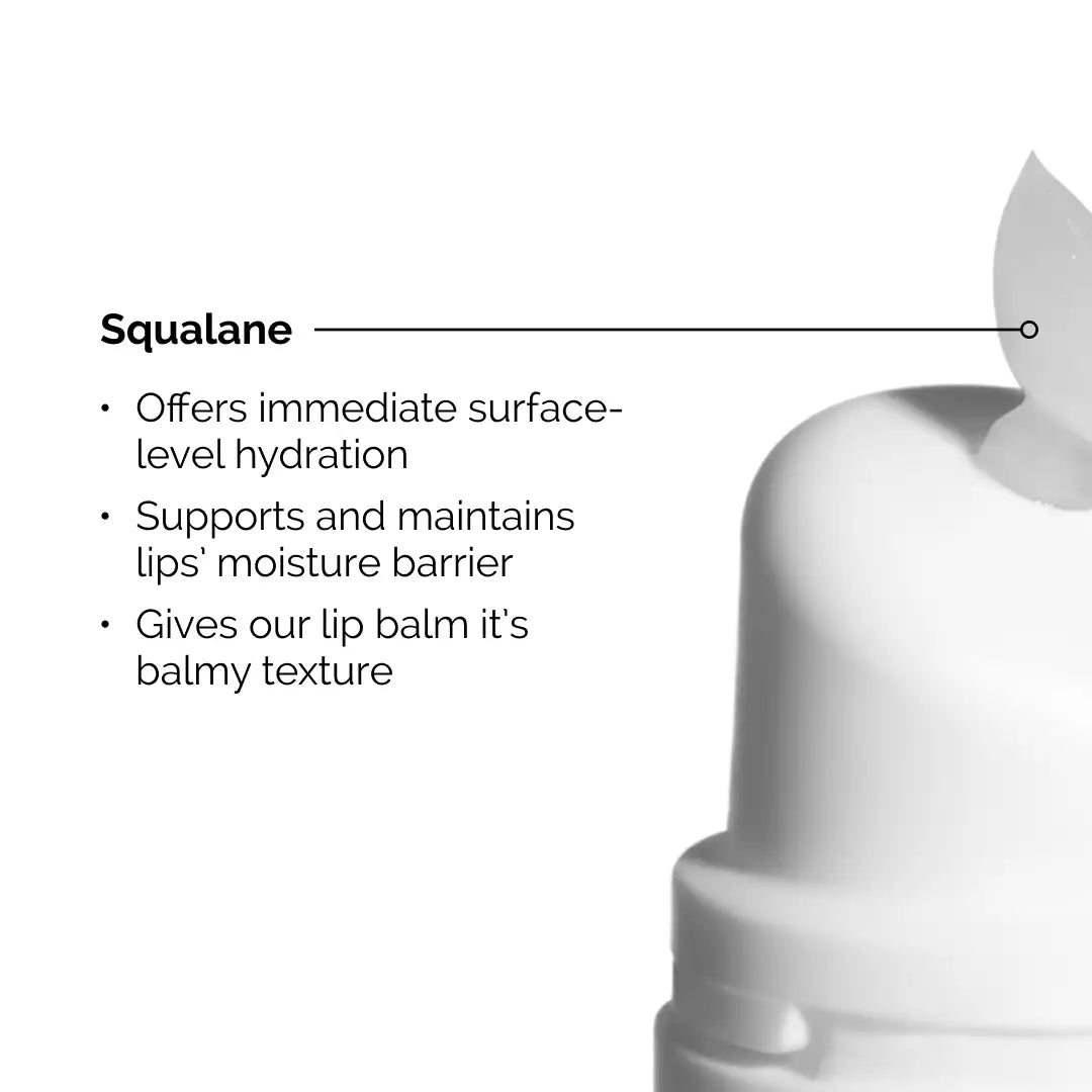 The Ordinary Squalane + Amino Acids Lip Balm