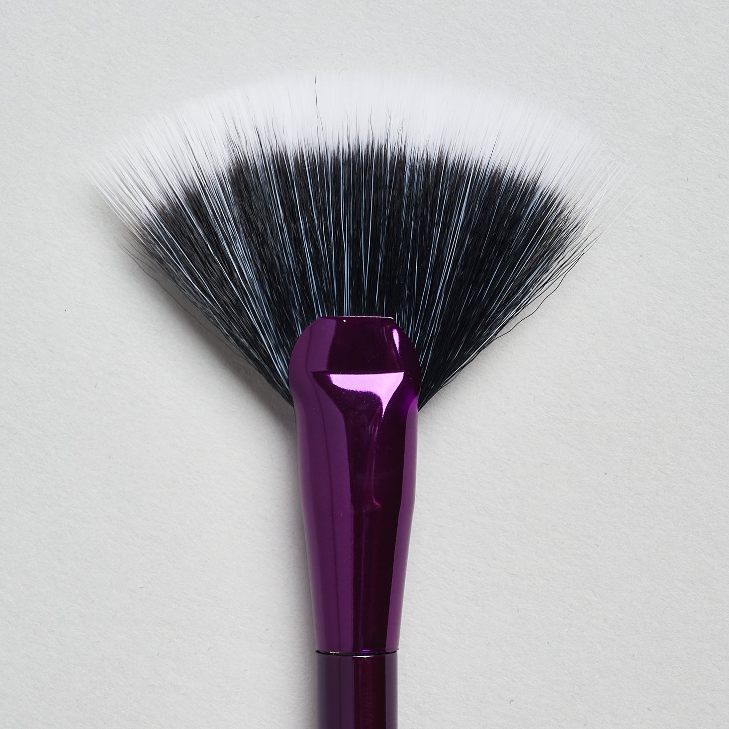 Tarte Rainforest of the Sea Highlighting Fan Brush