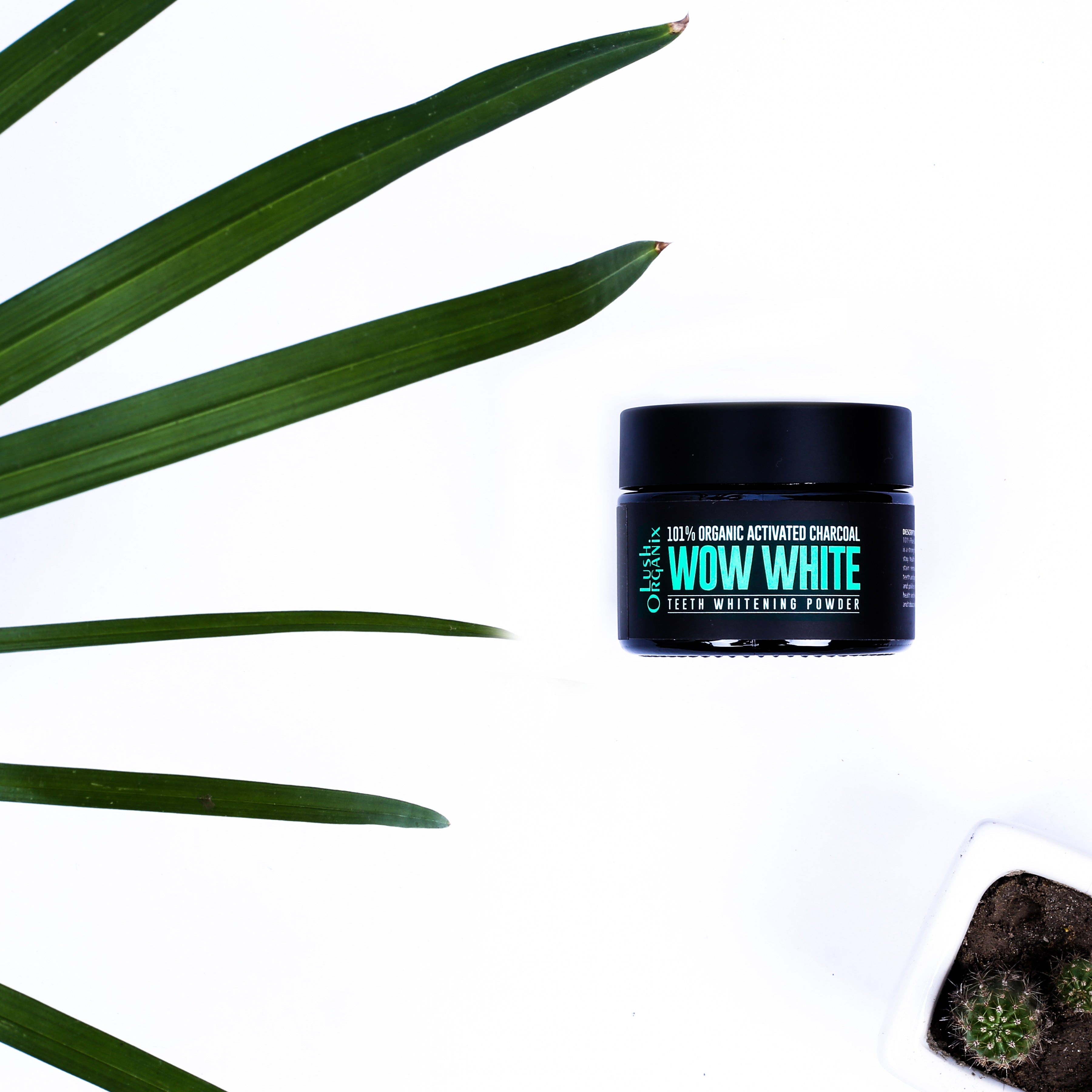 Lush Organix Wow White (Activated Charcoal Teeth Whitening Powder)