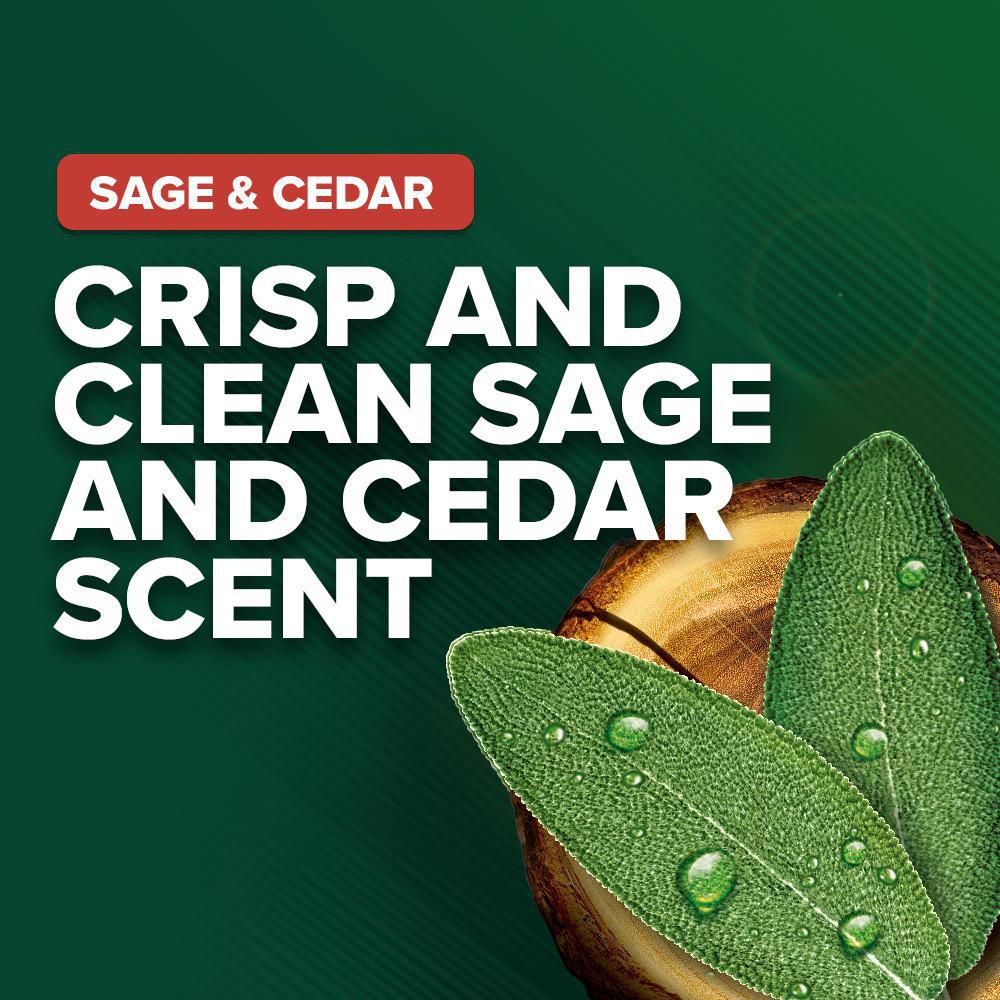 Irish Spring Sage & Cedar Body Wash For Men